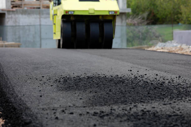 Environmentally-friendly driveway pavers